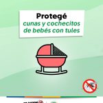 Flyer_VF_Dengue_Picadura_2025_4