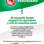 Flyer_VF_Dengue_V1_2025