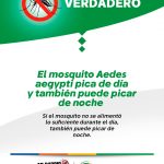 Flyer_VF_Dengue_V2_2025