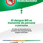 Flyer_VF_Dengue_V3_2025