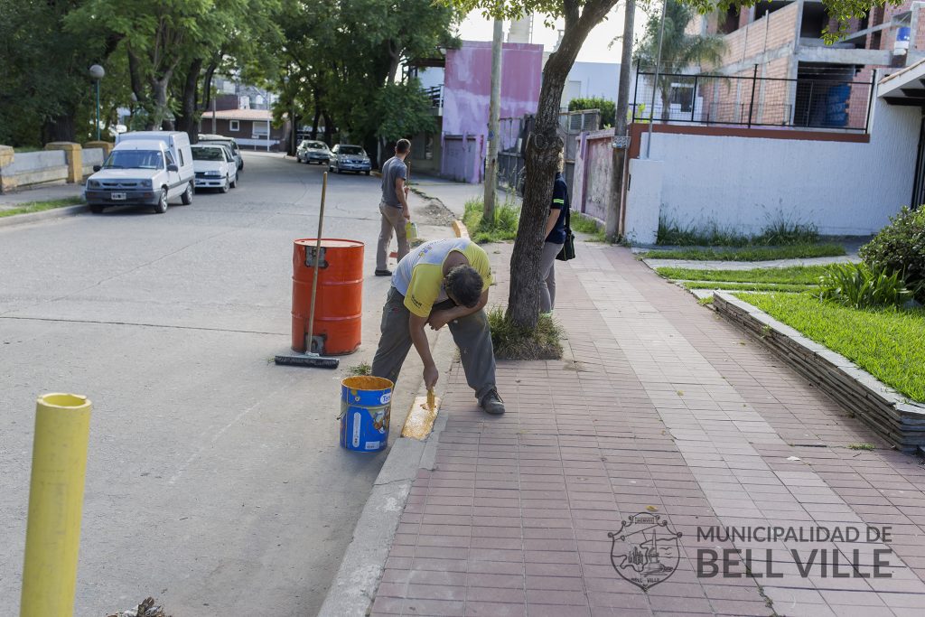 Instalación de señales viales prohibiendo el estacionamiento en un tramo de calle Tucumán.