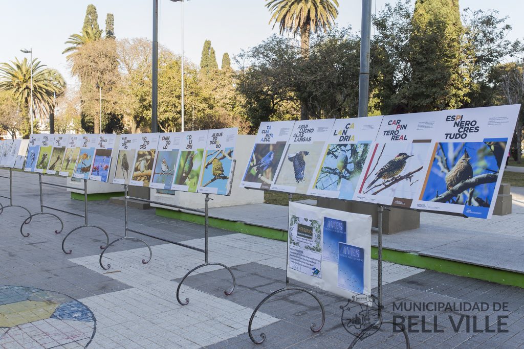 La muestra fotográfica “Aves” se exhibe frente al edificio municipal.