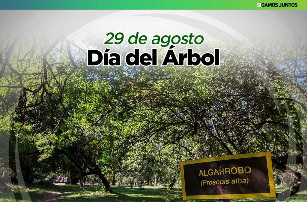 El municipio se apresta a festejar el Día Nacional del Árbol, junto a instituciones del medio