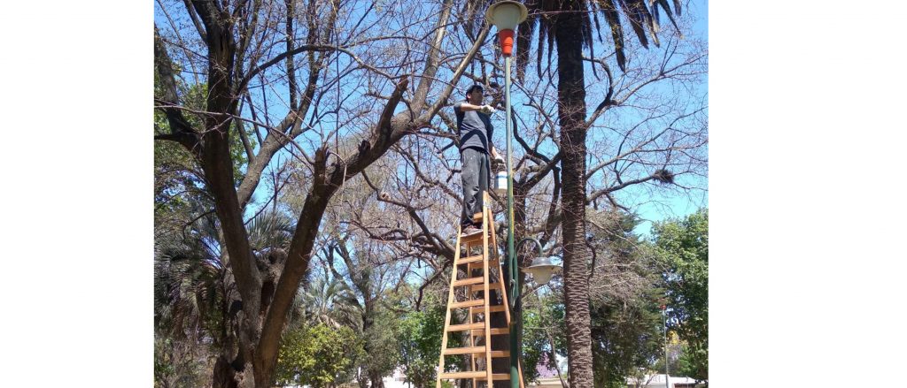 Tareas de mantenimiento en el alumbrado de plazas