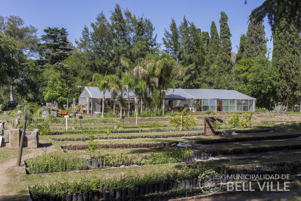 El Vivero Municipal dispone de especies para huerta y jardines
