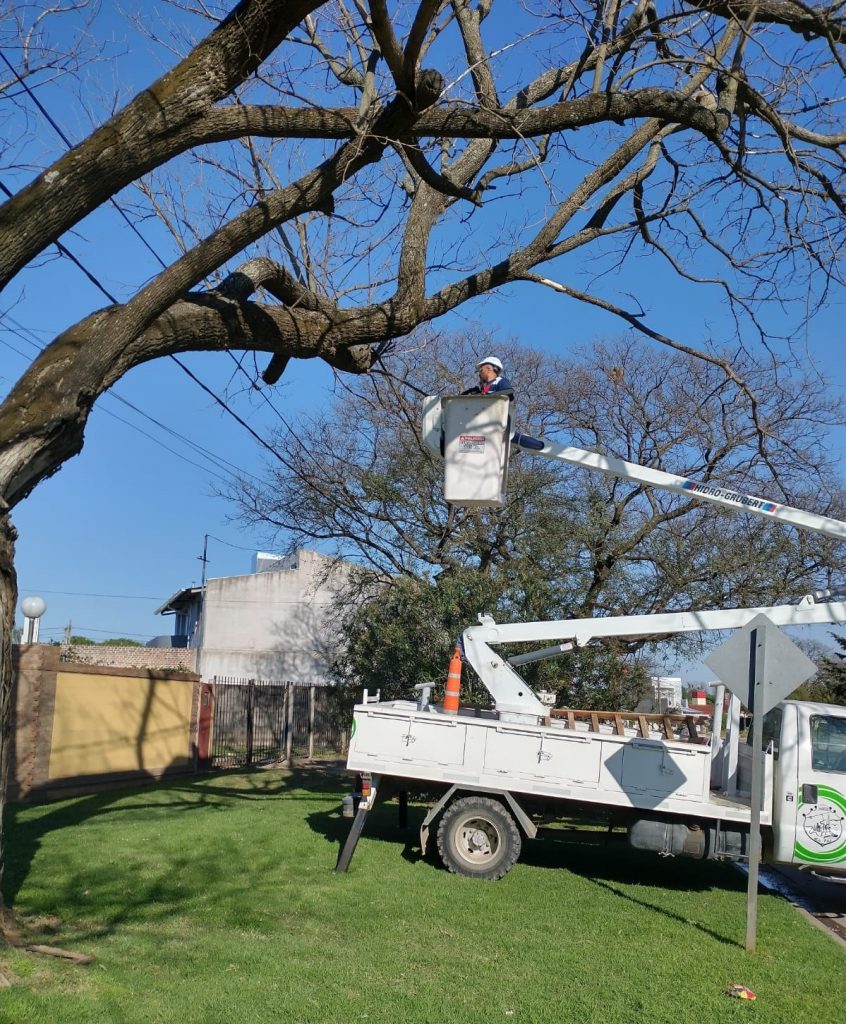 Personal municipal realiza poda preventiva ante eventuales desprendimientos de ramas