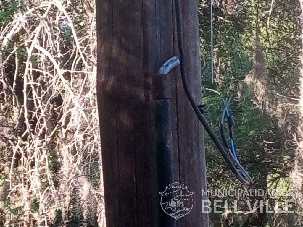 Se produjo otro robo de bienes municipales