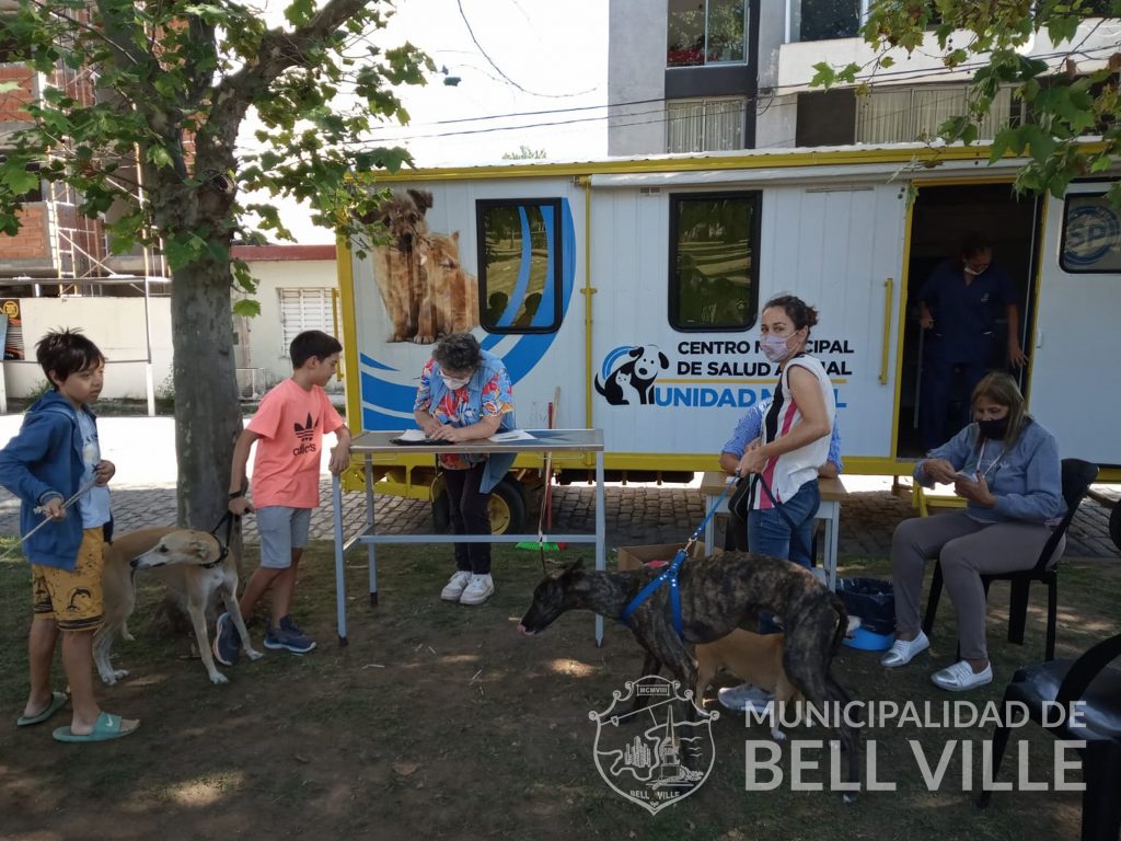 Hasta media mañana de hoy, la vacunación antirrábica había llegado a 146 animales