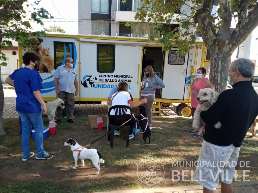 La primera parte de la vacunación antirrábica culminó con 1.420 animales inoculados