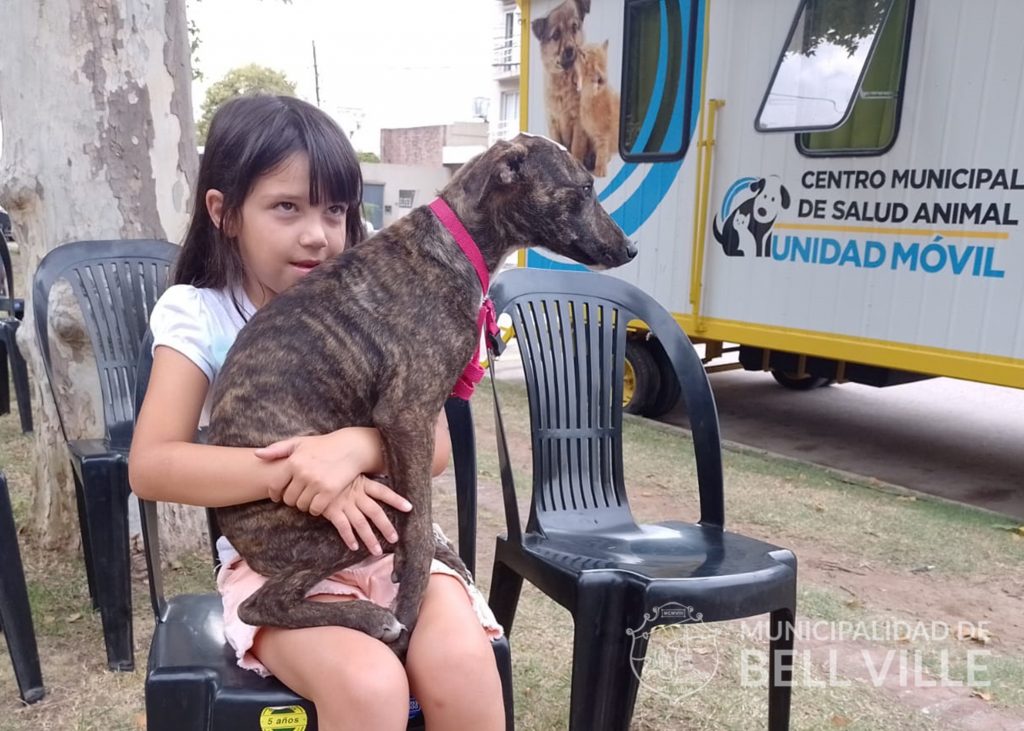 Esta semana el Castrador Móvil estará en la Estación del Ferrocarril