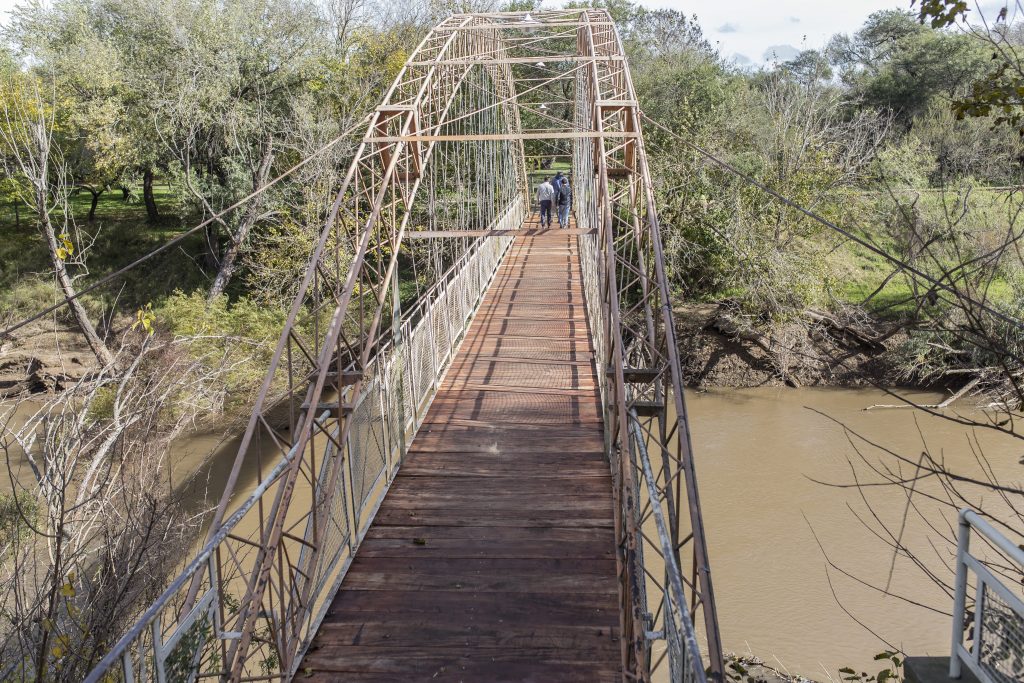 Alta preocupación municipal por vandalización y robos en espacios públicos
