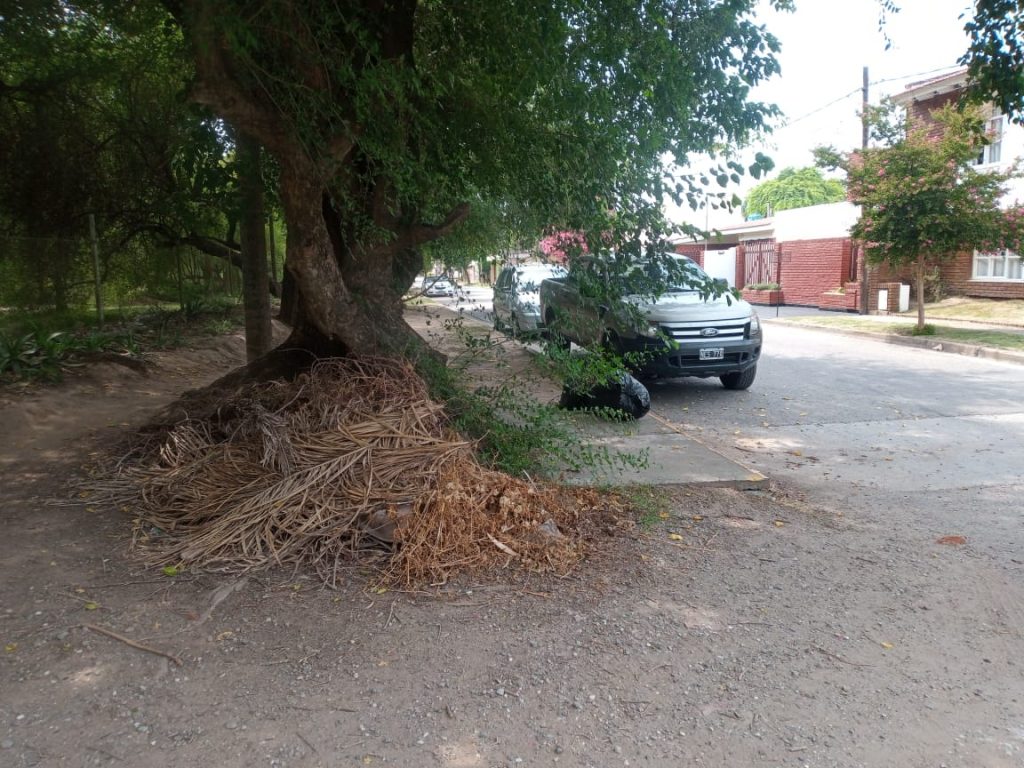 Basural clandestino en calle Tucumán