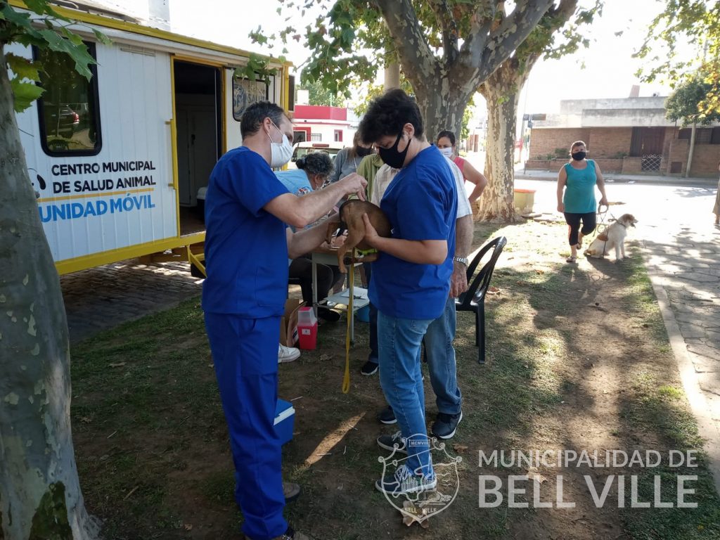 En la actual campaña antirrábica, las inoculaciones sumaron 1.522