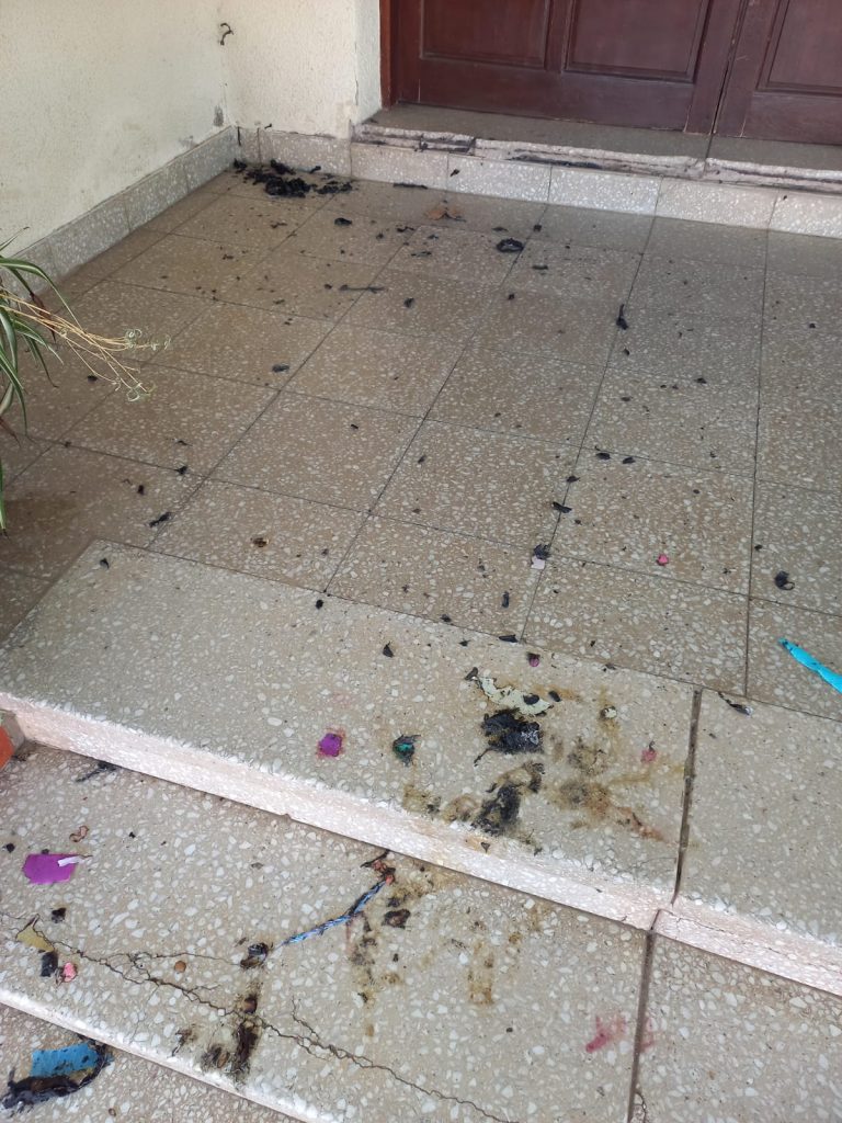 Desmanes en la Casa del Niño