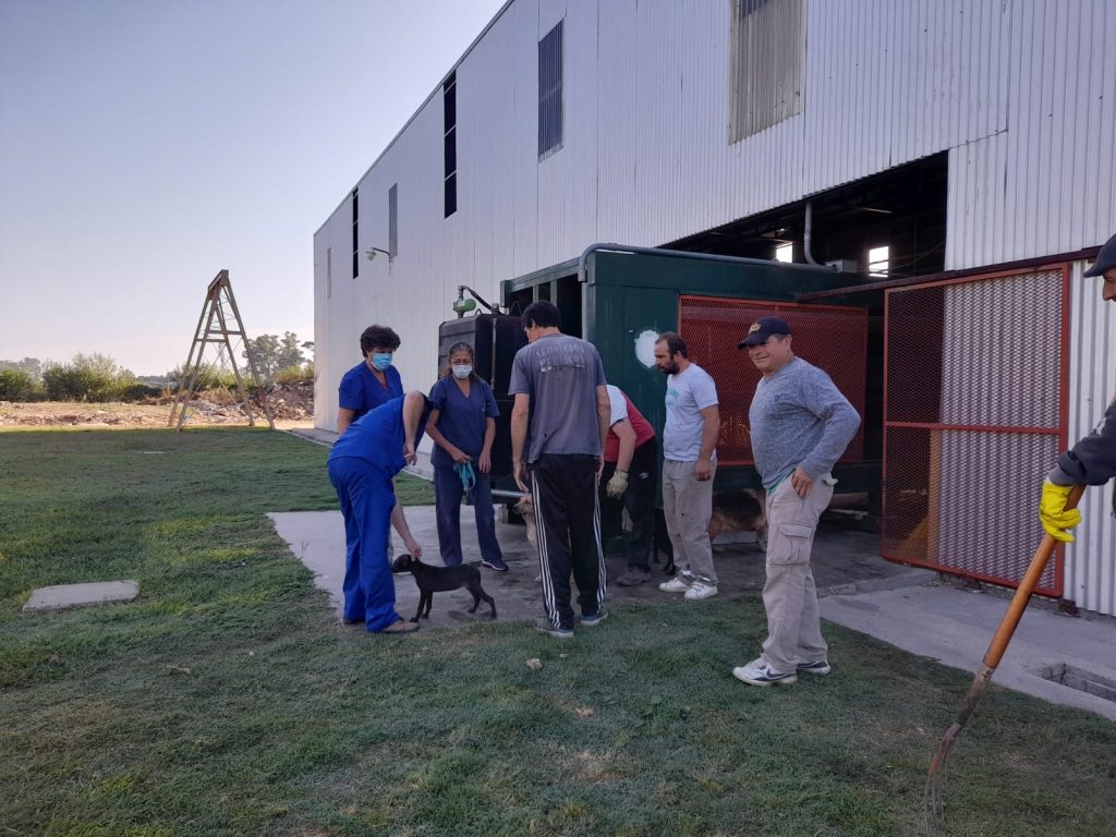 La campaña de vacunación antirrábica alcanzó a otros 50 animales