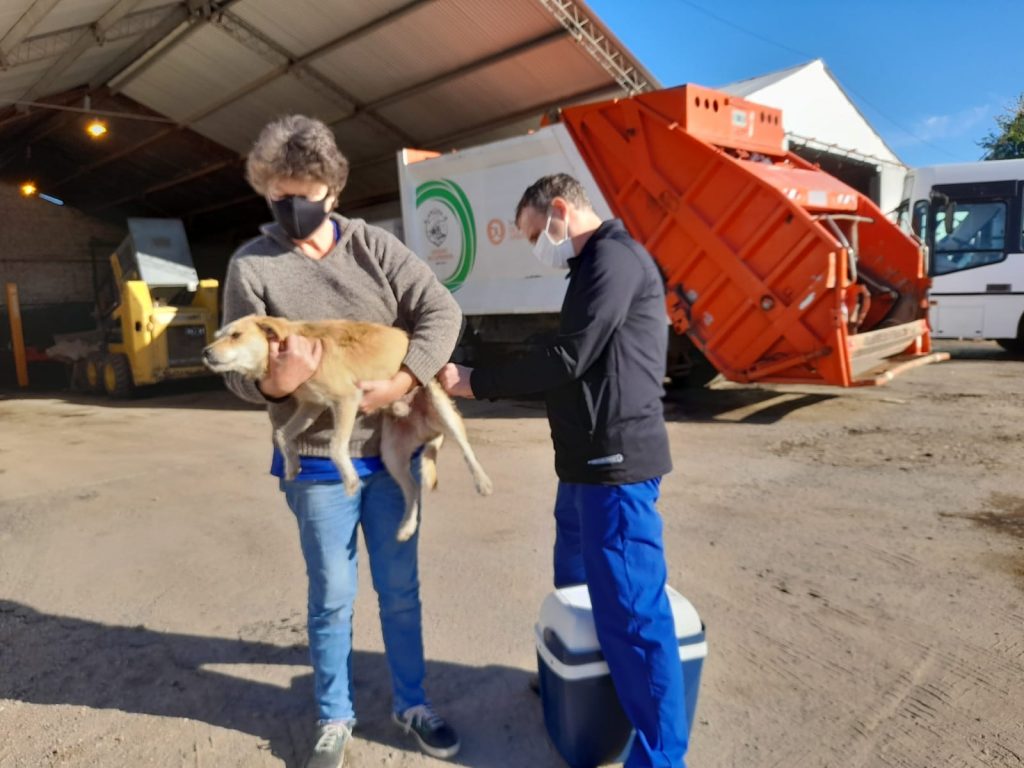 Continúa la campaña de vacunación antirrábica en la ciudad