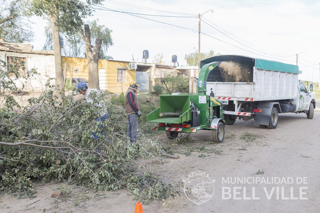 Los restos de poda son recolectados por el municipio