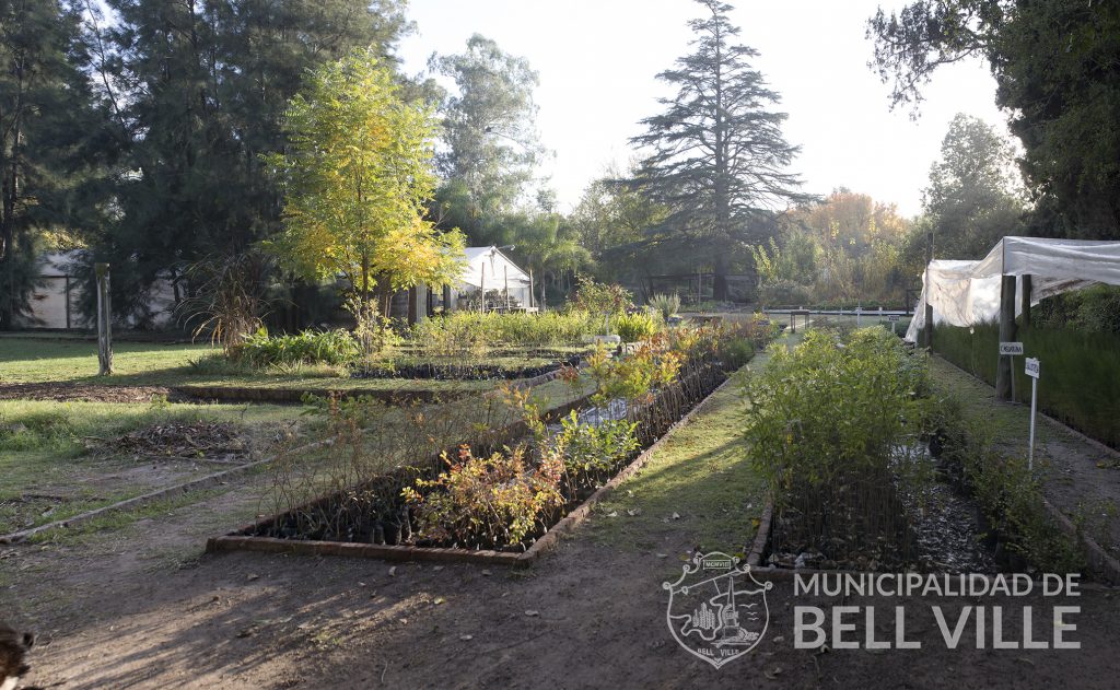 El Vivero Municipal cuenta con ejemplares para cumplir con la Ley Agroforestal