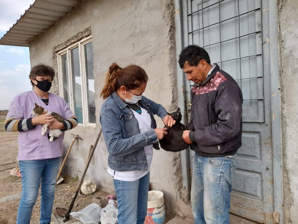 La vacunación antirrábica se cumplió con éxito en la zona Sur de la ciudad