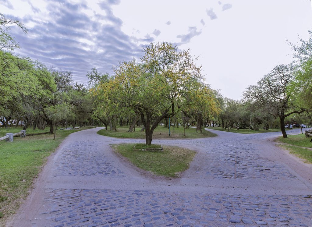 El próximo lunes en la Reserva Natural Parque F. Tau, se celebrará el Día del Árbol