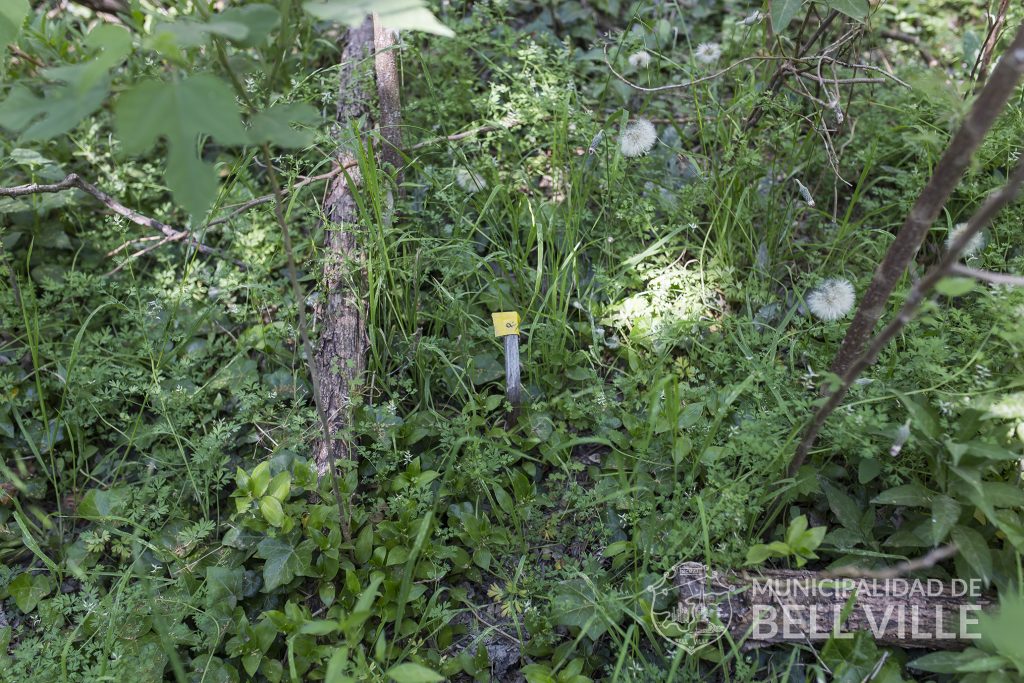 Iniciativa de alumnos de la ex ENET Nº 1, entre los 10 mejores proyectos nacionales