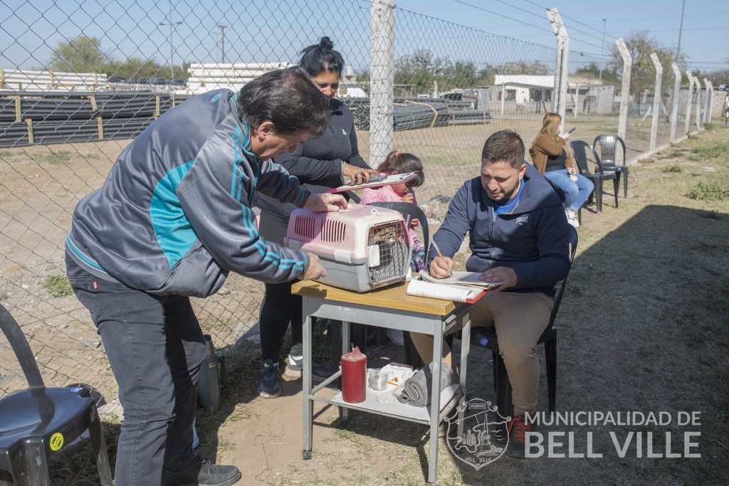 El castrador móvil sigue cumpliendo actividades en la parte Sur de la zona urbana