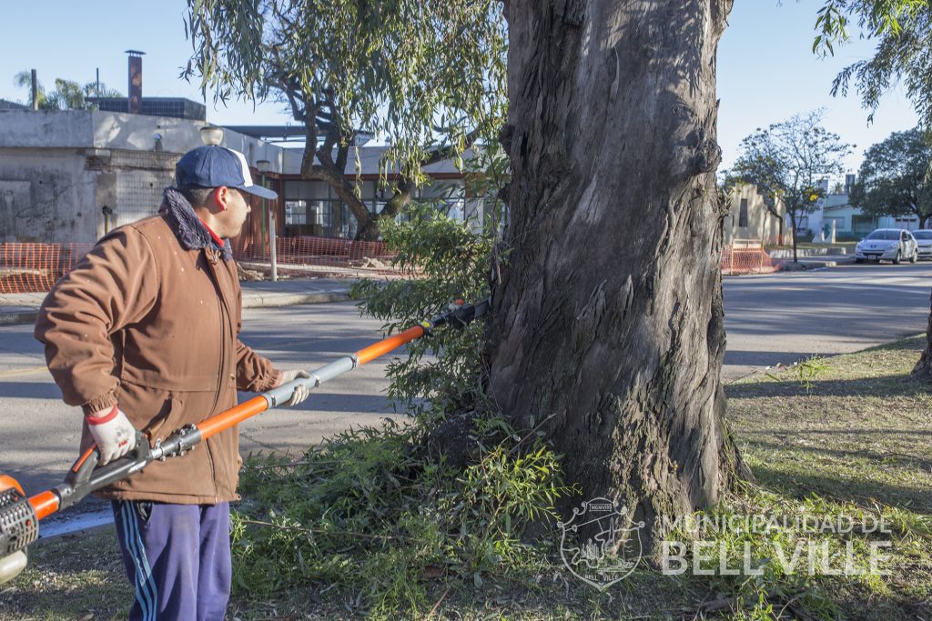 Se cumple poda correctiva en distintas calles y espacios públicos
