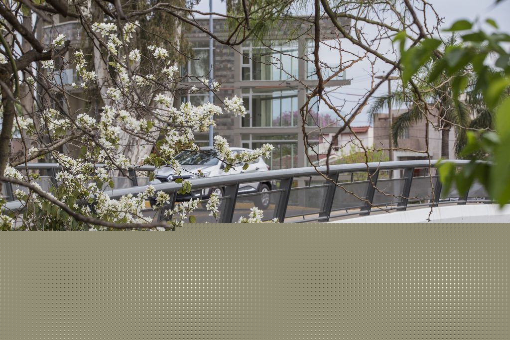 La naturaleza se luce con vestidos florales de fiesta