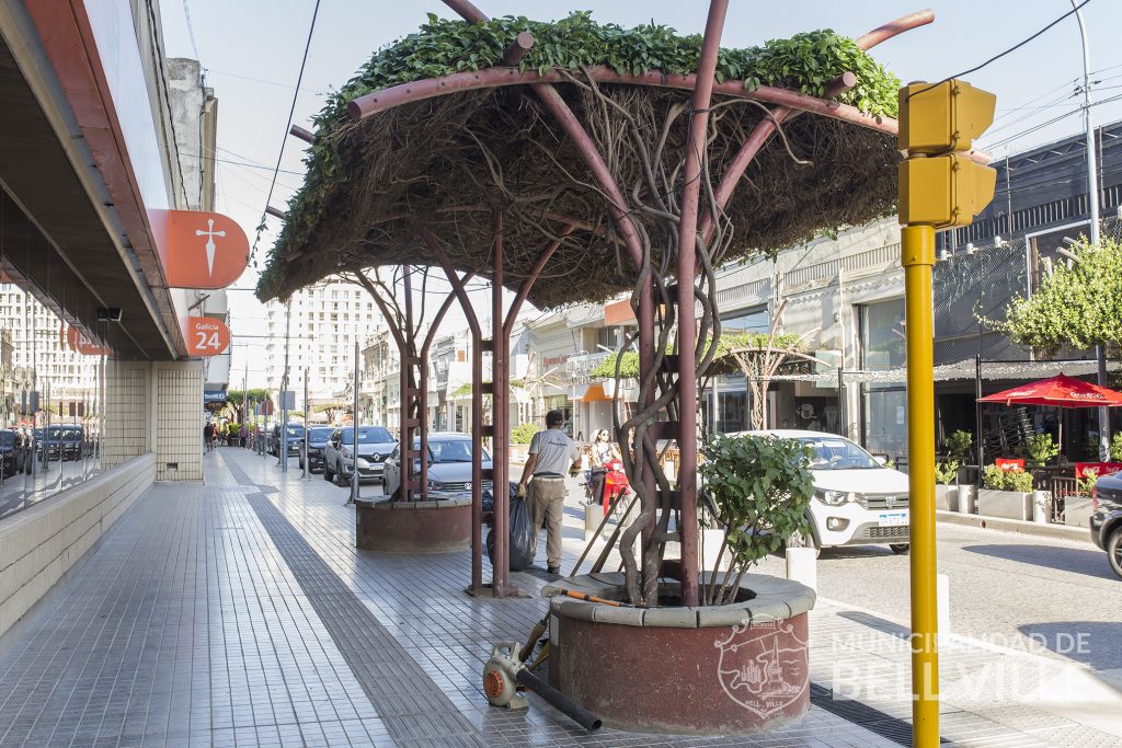 Intervenciones municipales varias en dos barrios de la ciudad