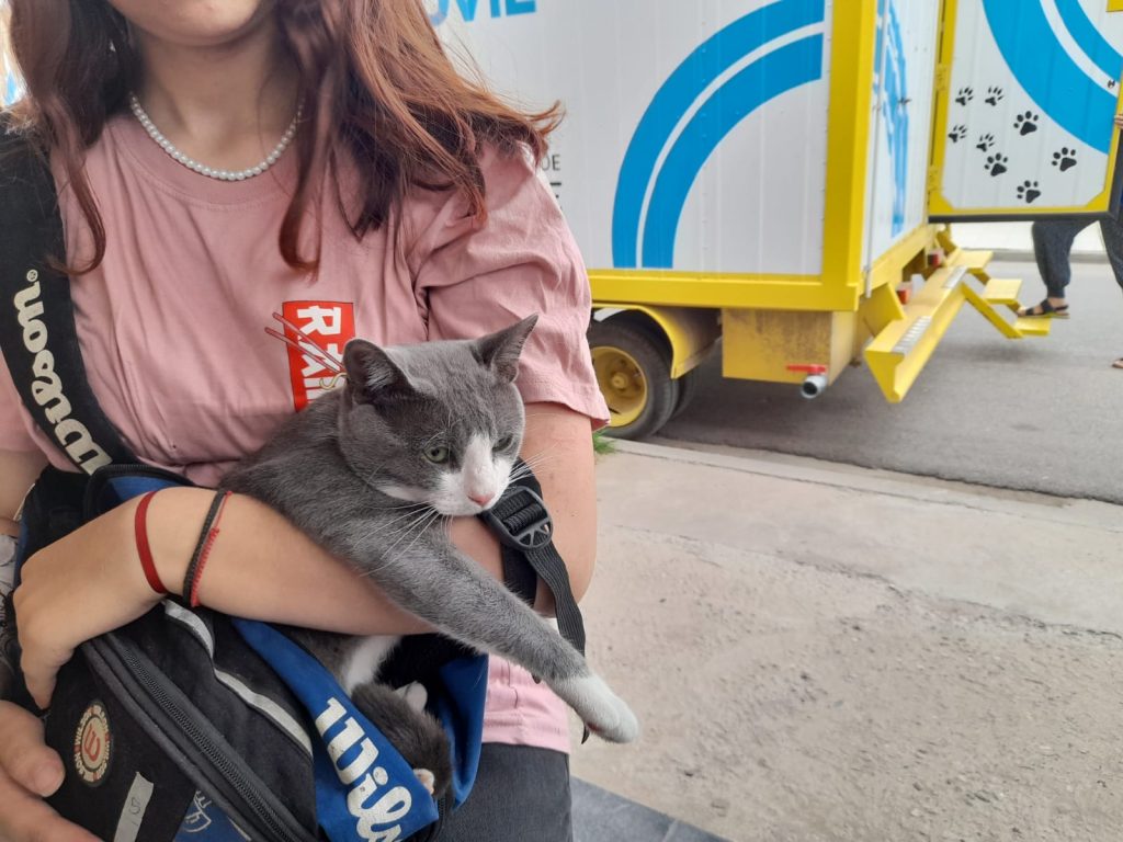 Ya se pueden solicitar los turnos de castraciones de animales para el mes de mayo