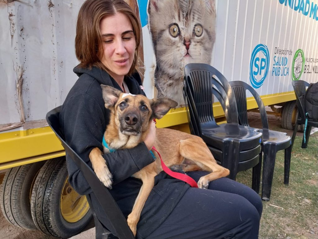 Otras 28 cirugías realizadas se suman a la labor en los barrios del castrador móvil de animales