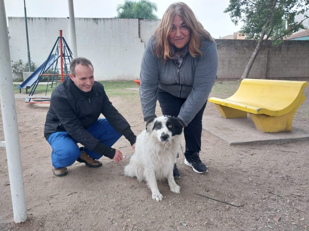 Importante interés en el operativo de vacunación antirrábica para perros y gatos