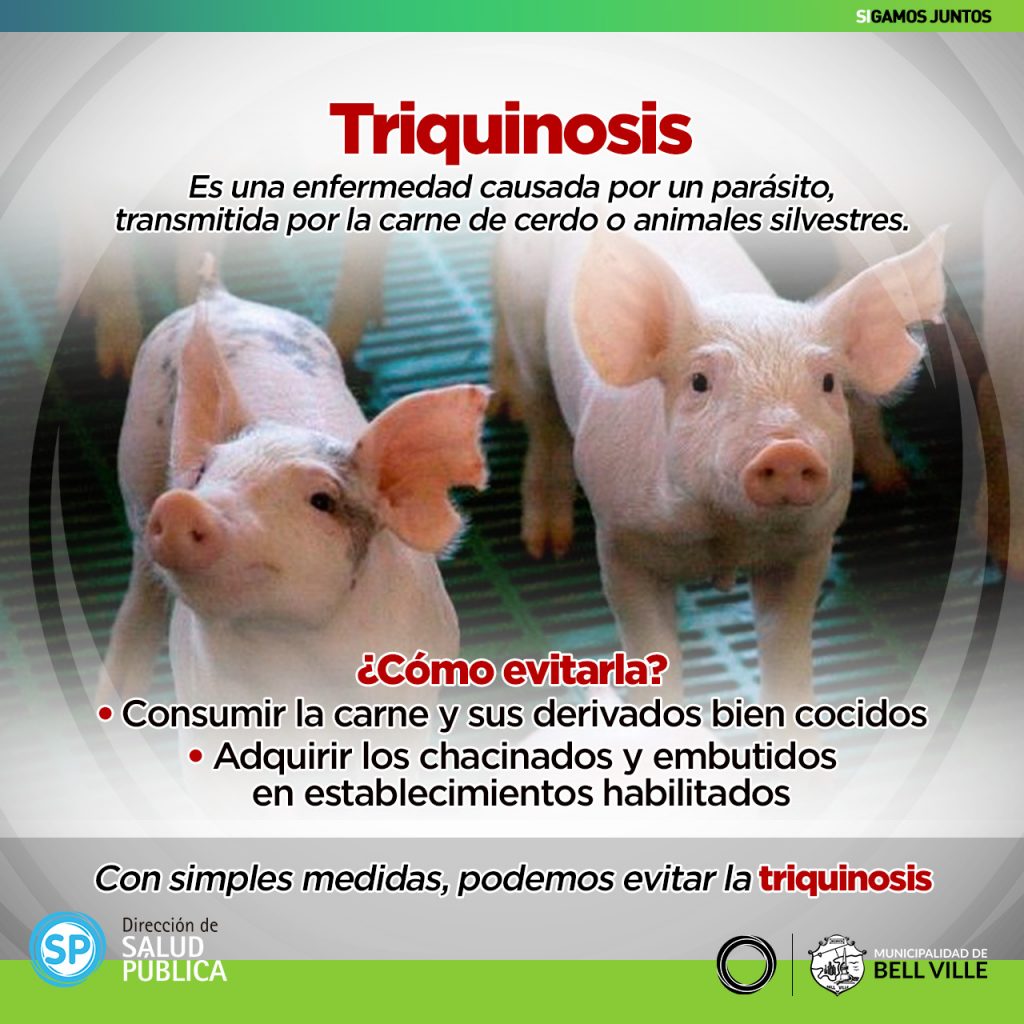 Triquinosis, un problema para la salud que aumenta con el faenado clandestino de animales