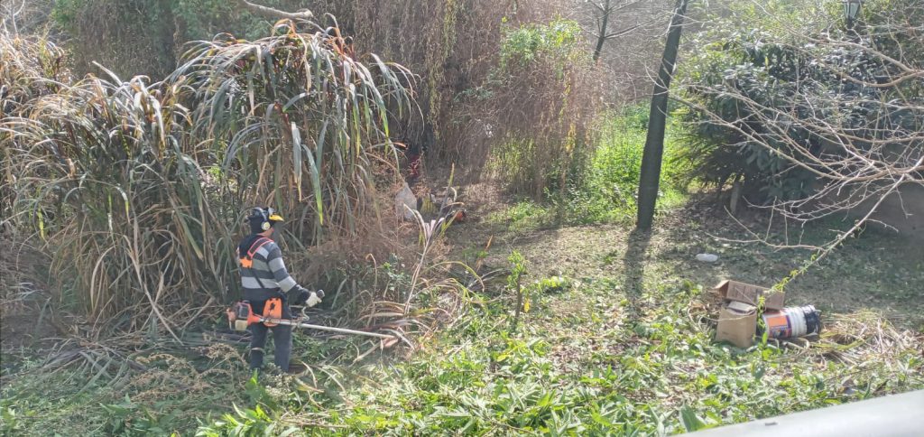 Se sigue arrojando basura a las barrancas del río