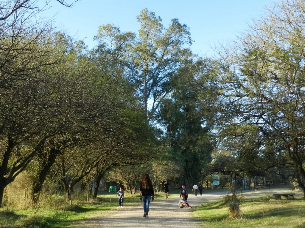 Notoria recuperación en flora y fauna se observa en la Reserva Natural Parque Francisco Tau.