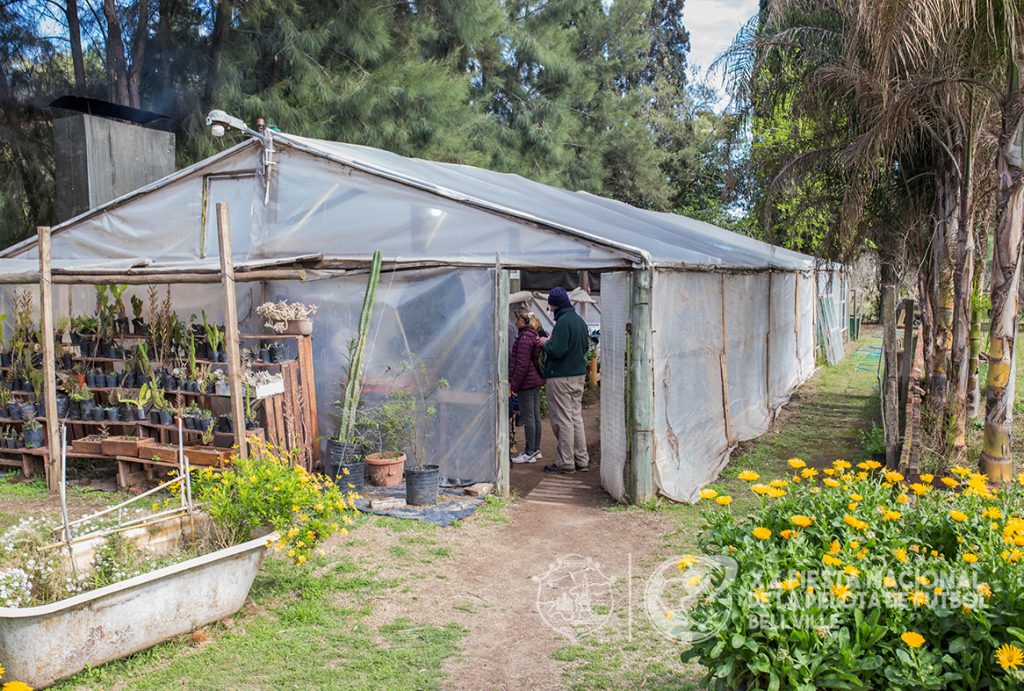 Hoy es el Día Mundial de la Ecología