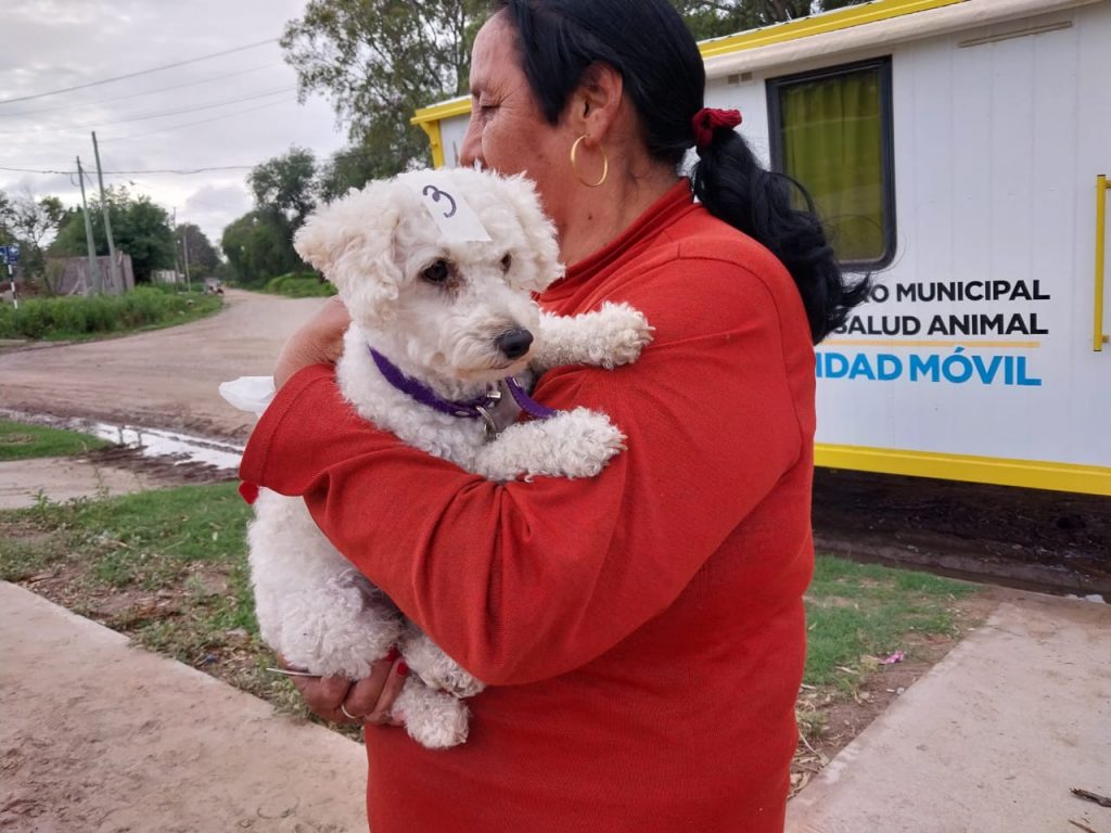 En el castrador móvil municipal se cumplieron en la última semana 31 cirugías de perros y gatos