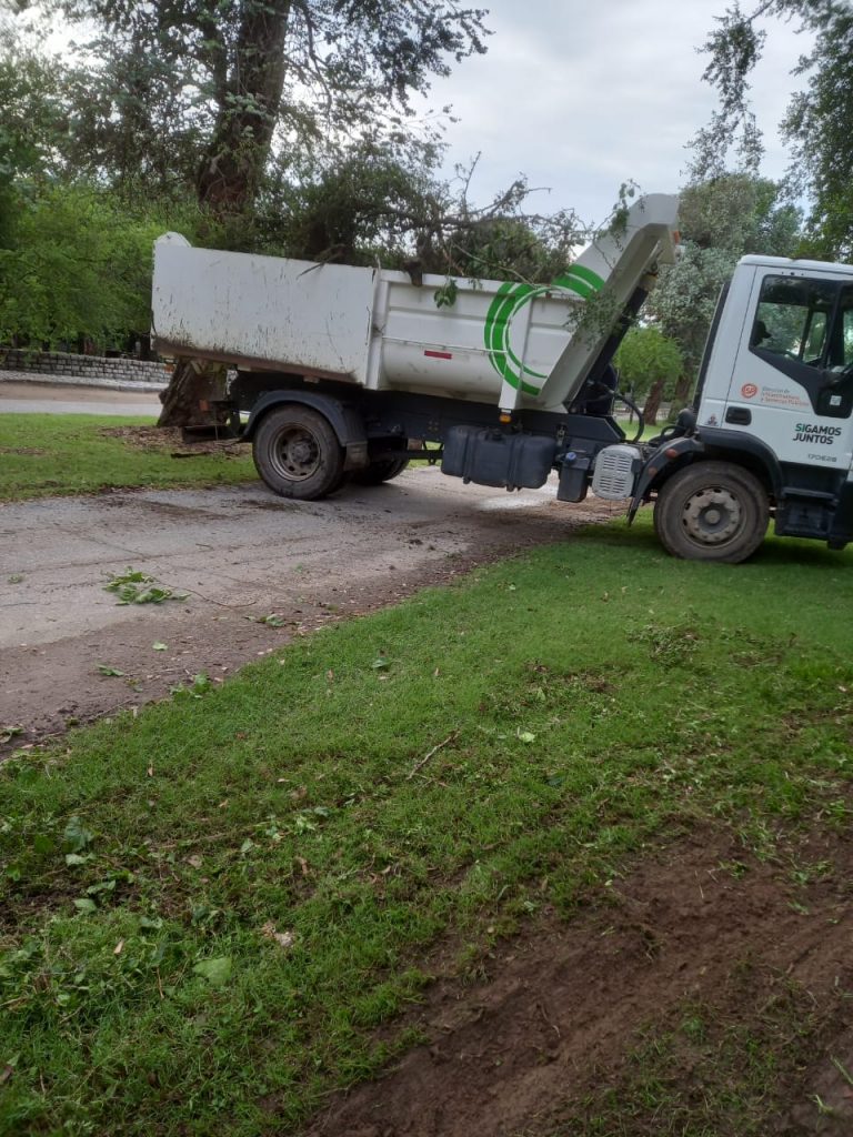 Se extraen ramas caídas en el sector recreativo de la Reserva Natural Francisco Tau