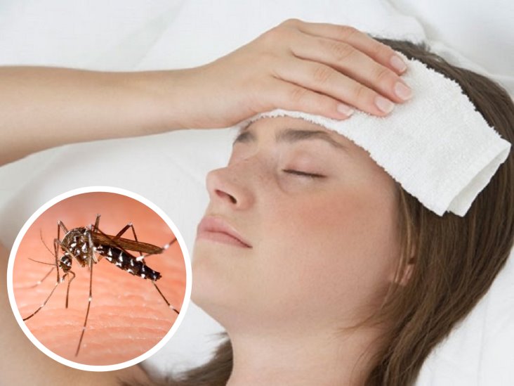 Ante los primeros síntomas de Dengue, consulte de inmediato a su médico o concurra al centro de salud más cercano