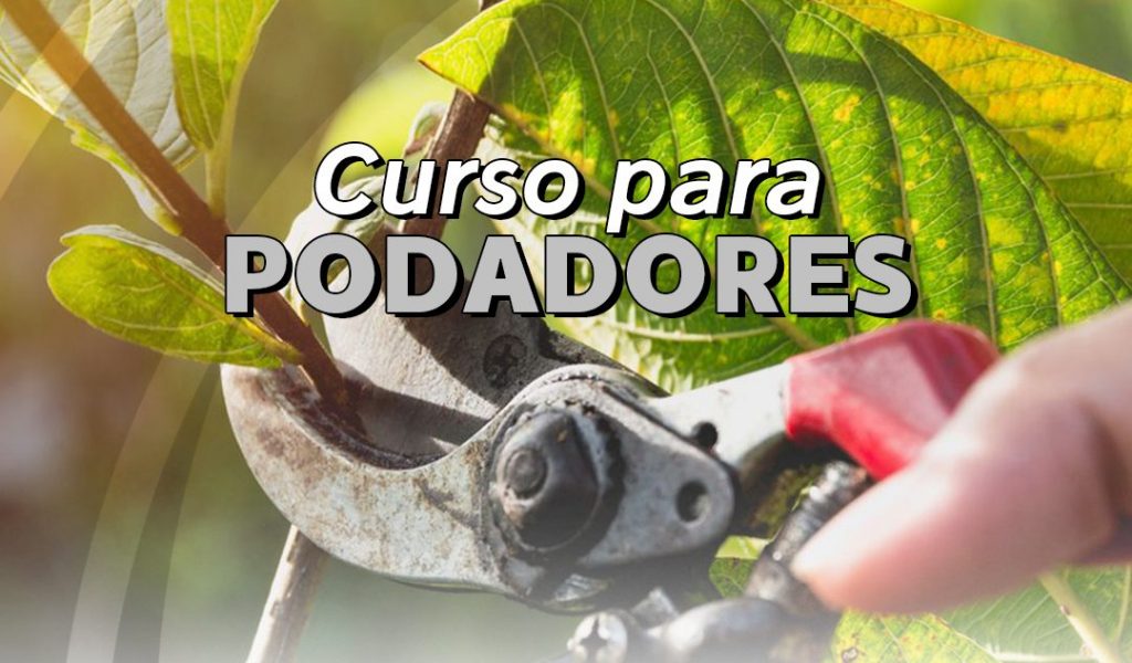 Para el próximo jueves 25 se anuncia un nuevo curso de podadores