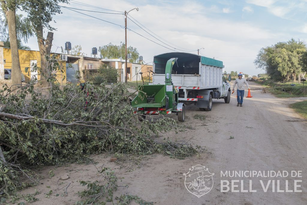 Para la poda del arbolado urbano se requiere de una autorización previa otorgada por el municipio