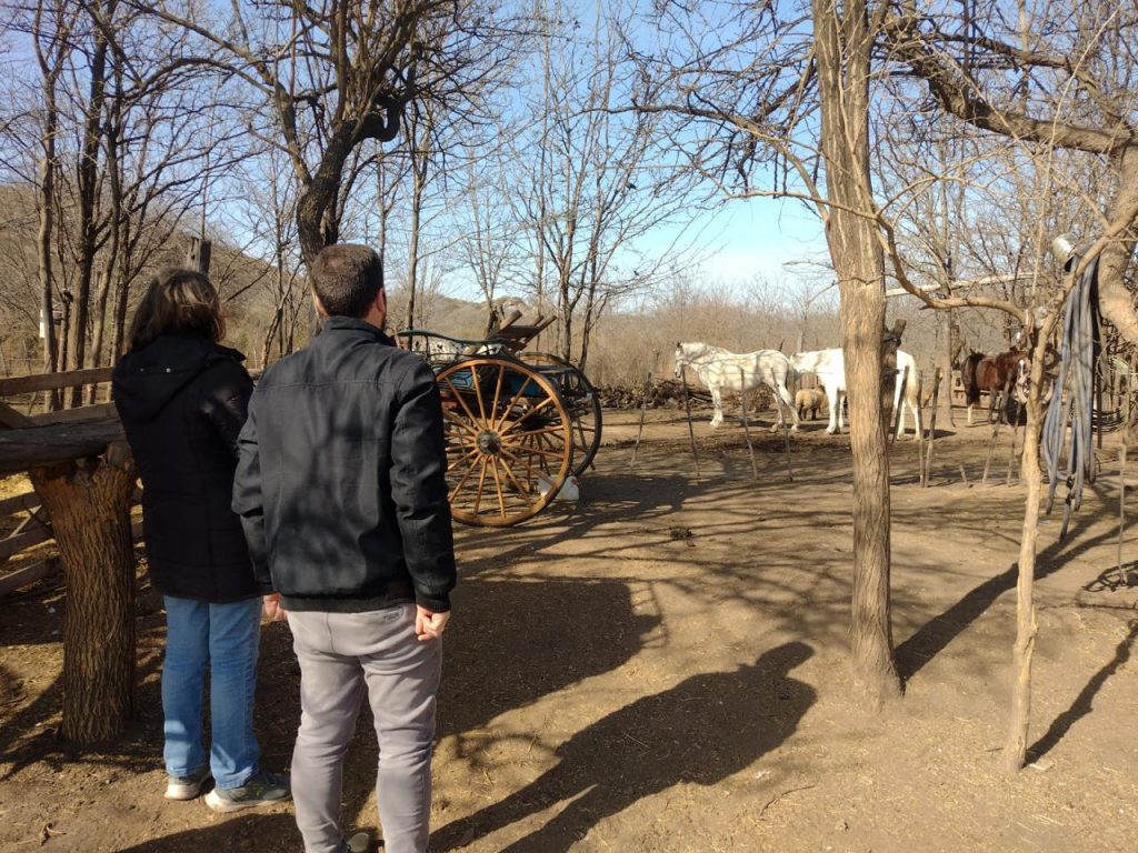 Funcionarios municipales visitaron la Fundación que recibe los equinos secuestrados en la vía pública