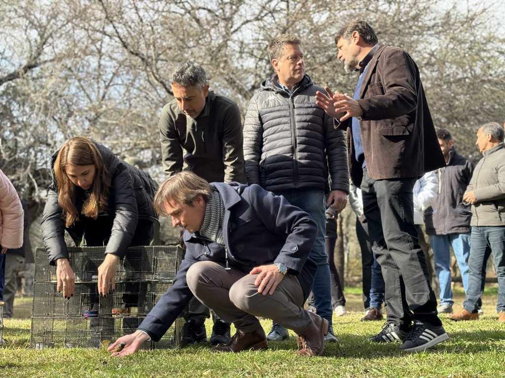 Más de 40 aves recuperaron la vida silvestre en la Reserva Natural Francisco Tau