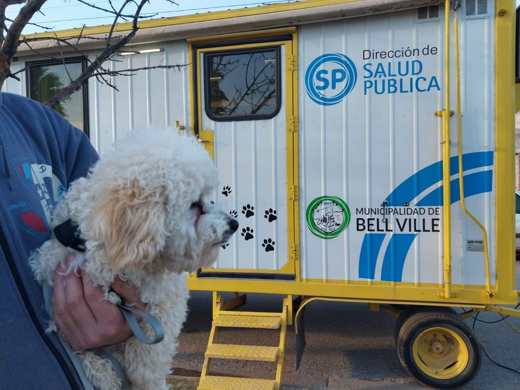 Constante trabajo del castrador móvil en los barrios