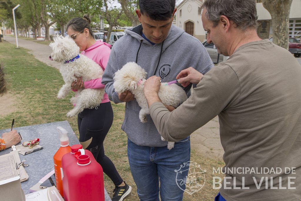 Exitoso inicio de la campaña de vacunación antirrábica