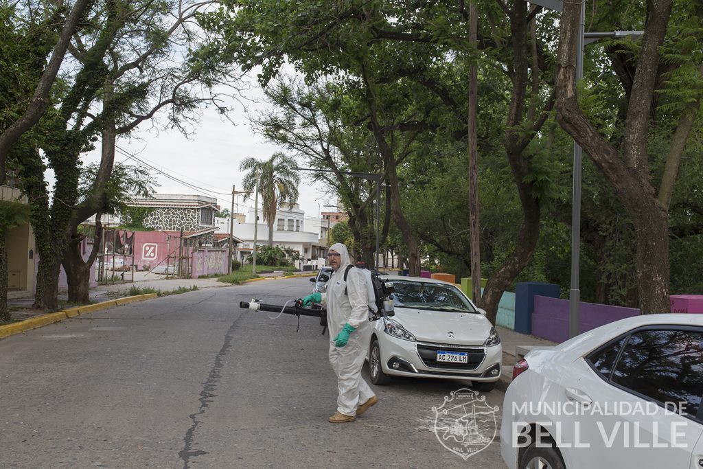 Comenzó un plan para combatir una plaga que ataca a los jacarandás