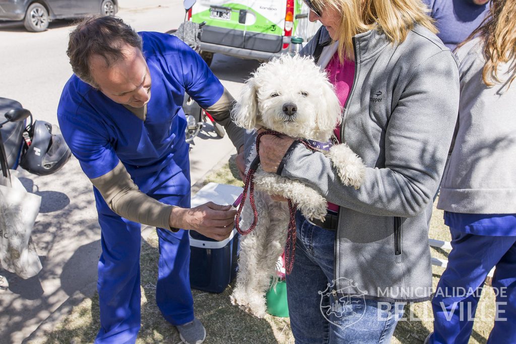 Lo realizado en el 2024 muestra al Centro de Salud Animal incrementando tareas en castraciones, vacunaciones y adopciones