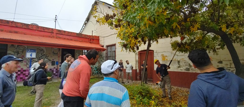 Por el cuidado del arbolado urbano, se cumplió otro exitoso curso de poda