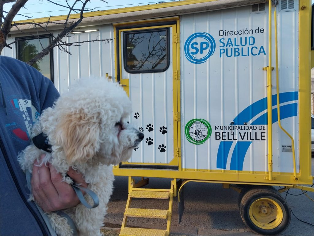 El Centro de Salud Animal informa sobre días y horarios del castrador móvil y puesto fijo