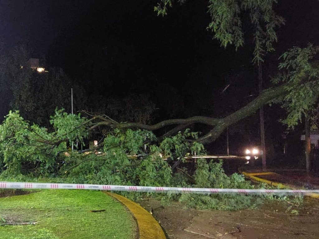 La ciudad se repone de los daños causados por la fuerte tormenta del sábado y madrugada del domingo